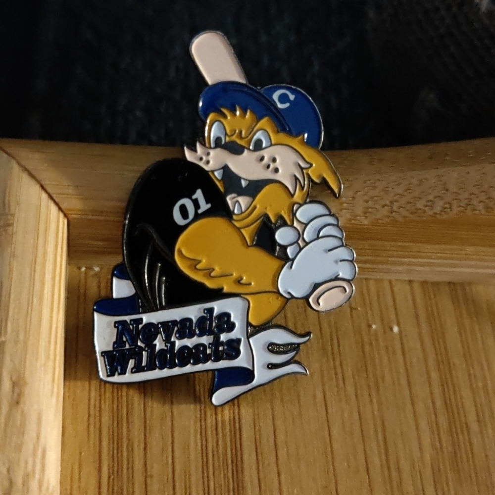 Enamel pin